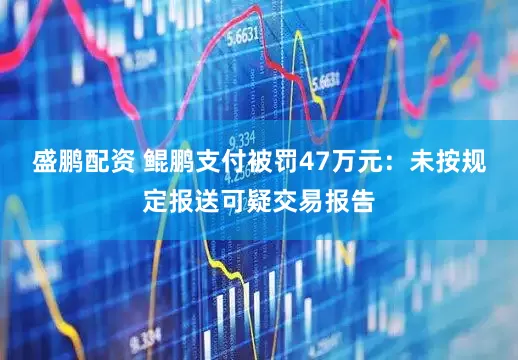 盛鹏配资 鲲鹏支付被罚47万元：未按规定报送可疑交易报告