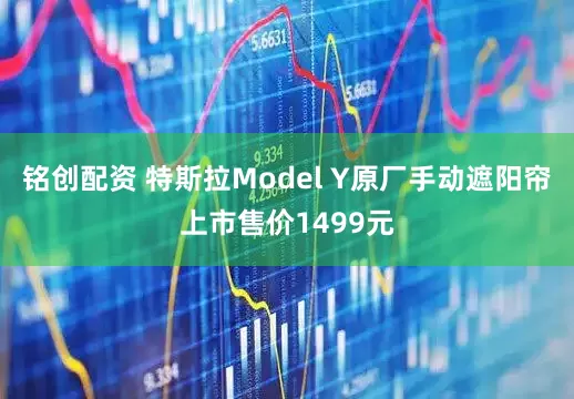 铭创配资 特斯拉Model Y原厂手动遮阳帘上市售价1499元